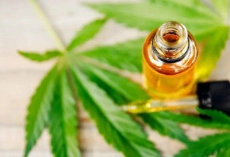 Anvisa já publicou autorização para 18 produtos de Cannabis, mas nenhum consta na relação nacional para distribuição no SUS. (Foto: divulgação)