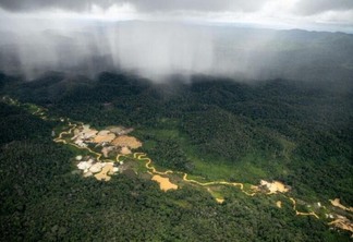 Desde o início de fevereiro, policiais da Força Nacional atuam na região das Terras Indígenas Yanomami, em Roraima (Foto: Christian Braga (Greenpeace)