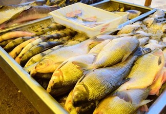 Peixes serão entregues em virtude da Semana Santa (Foto: Arquivo FolhaBV)