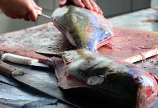 É importante saber escolher o peixe e como conservá-lo (Foto: Nilzete Franco/FolhaBV)