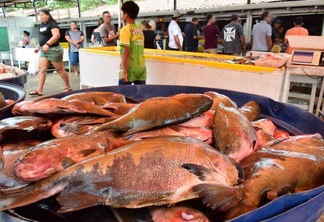 Na banca de Marcia Pimentel, o cliente pode pagar menos em peixes não tratados - Foto: Nilzete Franco/FolhaBV