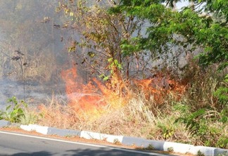 Bombeiros foram acionados para conter as chamas (Foto: Wenderson Cabral/FolhaBV)
