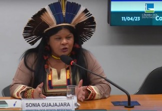 Ministra dos Povos Indígenas participou de audiência na Câmara dos Deputados - Foto: Reprodução/TV Câmara