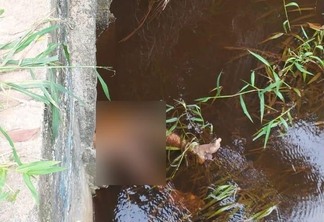 O corpo foi encontrado em um bueiro, na Travessa Pedro Aldemar Batin, no bairro Operário (Foto: Divulgação)