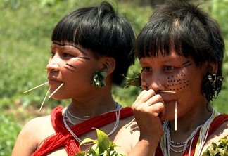 Terra Indígena Yanomami abrange uma extensa área de Roraima, além de uma parte do estado do Amazonas, totalizando cerca de 9,6 milhões de hectares (Foto: Divulgação)