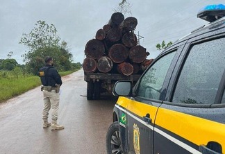 Carga com 20 m³ de madeira foi apreendida pela PRF - Foto: Divulgação/PRF