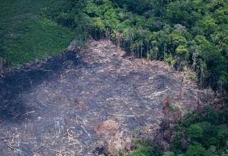 O desmatamento na floresta amazônica caiu 60% em janeiro deste ano (Foto: Daniel Beltra/Greenpeace)