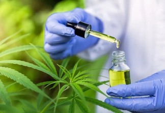 Um dos objetivos do projeto de lei é diagnosticar e tratar pacientes cujo tratamento com a cannabis medicinal possua eficácia ou produção científica que incentive o tratamento(Foto: Istock/Getty Images)