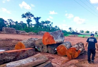 O objetivo da ação, além de combater o desmatamento ilegal, tem por foco coibir outros tipos de crimes ambientais no Bioma Amazônico (Foto: Polícia Civil)