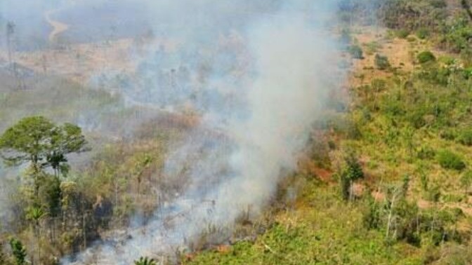 13 municípios do estado decretaram calamidade pública por causa das queimadas (Foto: Fernando Oliveira)