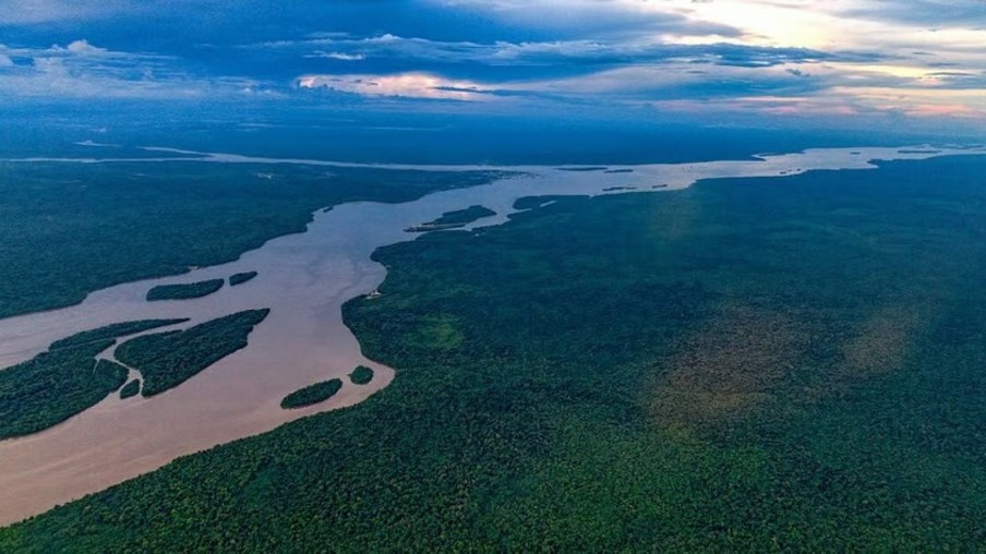 A área atualmente representa 70% do território guianense, com aproximadamente 159,5 mil km2. (Foto: reprodução)