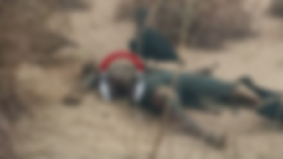 Foto mostra corpo da vítima rodeado por dois urubus (Foto: Divulgação)