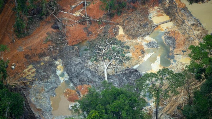 Imagem mostra os estrados provocados pelo garimpo ilegal na Terra Indígena Yanomami (Foto: Chico Batata/Greenpeace)