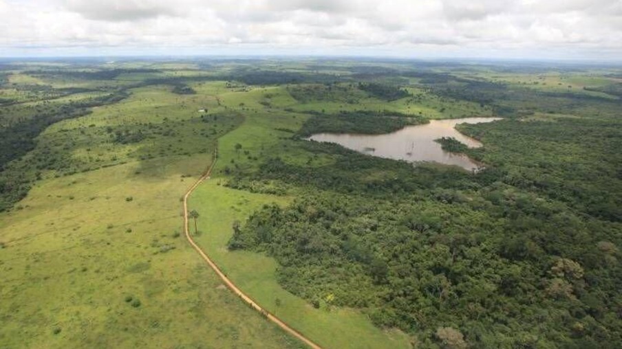 O programa receberá R$ 600 milhões do Fundo Amazônia e R$ 130 milhões do Floresta+ (Foto: Divulgação)