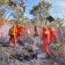 Brigadistas irão atuar em Roraima no combate aos incêndios florestais (Foto: Divulgação)