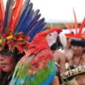 Cena de faroeste caboclo, garimpo ilegal e o Dia dos Povos Indígenas