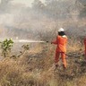 Atualmente, Roraima tem mais de 200 brigadistas em combate aos incêndios. (Foto: Divulgação)
