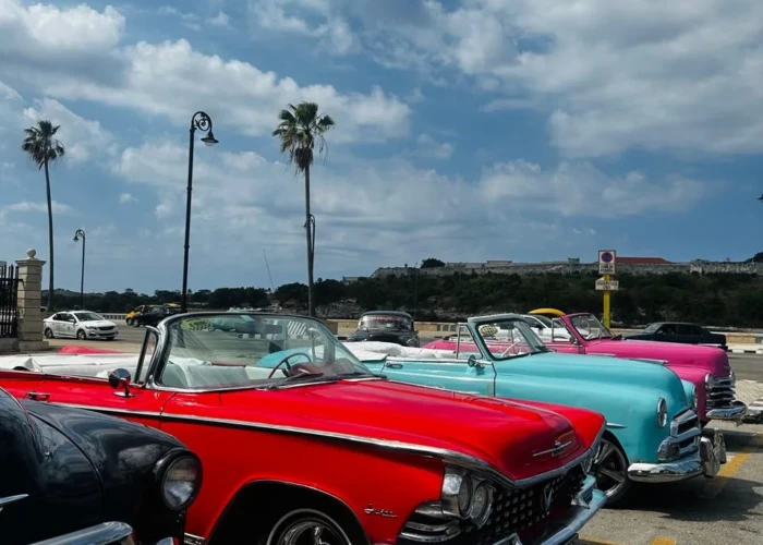 Os veículos clássicos de Havana